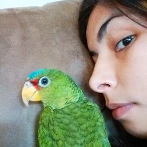 Meet your Posher, Beatriz